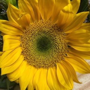 Meet your Posher, Kerri